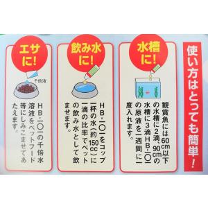 フローラ HB-101 ペットにも使える 10...の詳細画像5