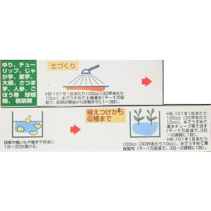 HB-101 植物活力液 1L 1個 原液 1...の詳細画像2