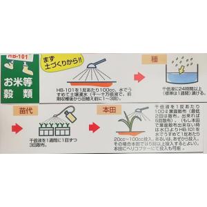 HB-101 植物活力液 1L 1個 原液 1...の詳細画像3
