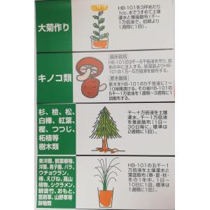HB-101 植物活力液 1L 1個 原液 1...の詳細画像5