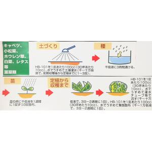 フローラ HB-101 植物活力液 100cc...の詳細画像3