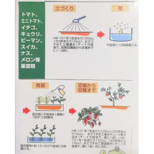 フローラ HB-101 植物活力液 100cc...の詳細画像4