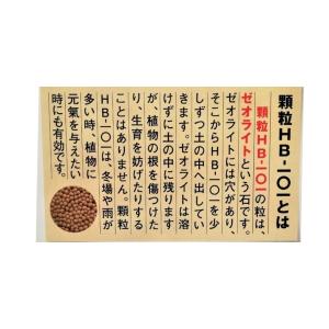 顆粒HB-101 300gと原液HB-101 ...の詳細画像3