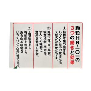 顆粒HB-101 300gと原液HB-101 ...の詳細画像4