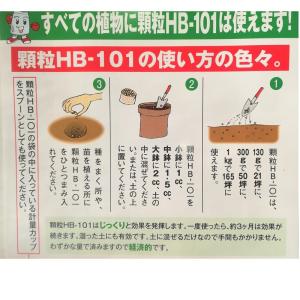 顆粒 HB-101 フローラ 300g 植物活...の詳細画像3