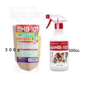 顆粒　HB-101　300g　と　そのまま使えるHB-101　500ｃｃ　1000倍希釈活力液　植物活力液　フローラ　スプレー｜緑の毎日