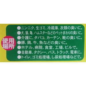 数量限定 ニオイノンノ 100cc フローラ ...の詳細画像2