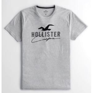 ホリスター　Hollister　メンズ  Ｔシャツ Applique Logo Graphic Tee ヘザーグレイ｜fromla