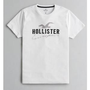 ホリスター　Hollister　メンズ  Ｔシャツ Applique Logo Graphic Tee ホワイト｜fromla