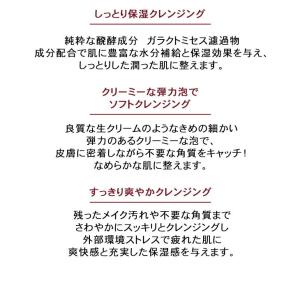 ステップ0 洗顔フォーム 130g クレンジン...の詳細画像3