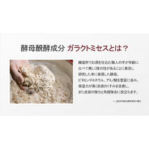 AGEインテンストリートメント マスクパック ...の詳細画像5