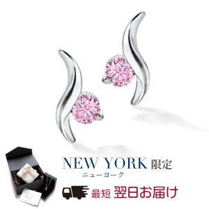 BOTTEGA VENETA（ボッテガ・ヴェネタ） ピアス 608588 V5070