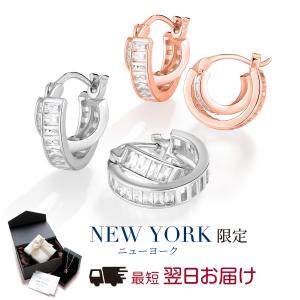 ピアス フープピアス レディース プラチナ 加工...の商品画像