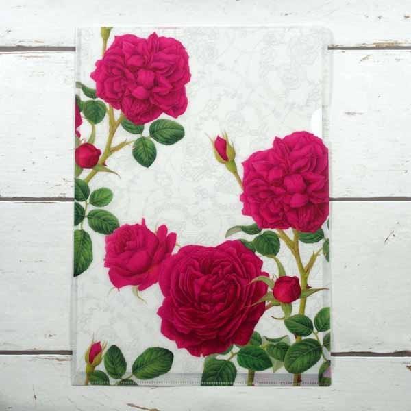 Ａ4クリアフォルダー　サンテグジュペリ