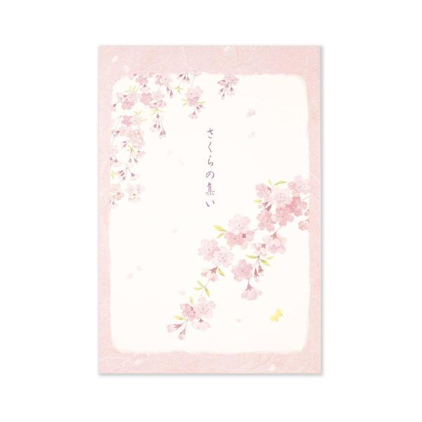はがき箋　さくらの集い｜hgs-453
