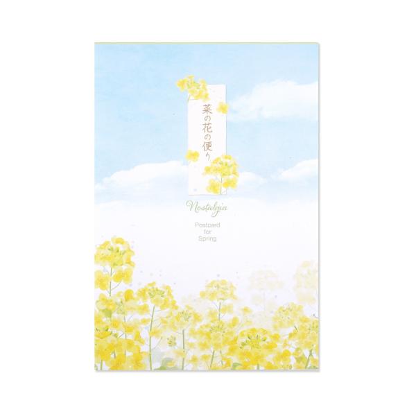 はがき箋　菜の花の便り｜hgs-471