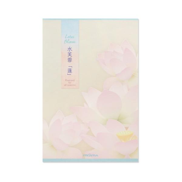 はがき箋　みずふよう　蓮｜hgs-472