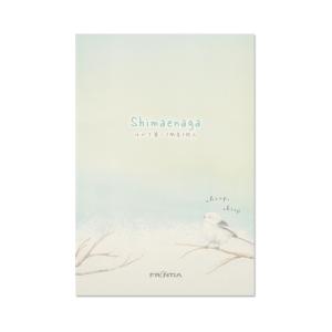 ハガキ葉書 葉書箋 ポストカード 春柄 春のたより HGS-499 （17） 2柄10枚 ハガキ