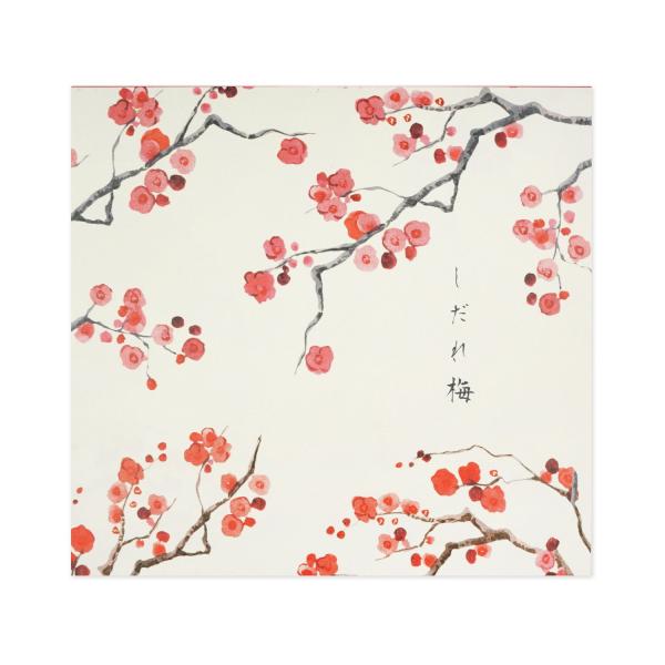 便箋　しだれ梅｜pd-633
