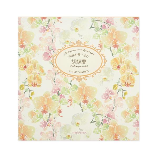 便箋 胡蝶蘭｜pd-635