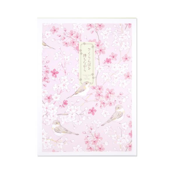 便箋　さくらんぼを待ちながら｜pd-640