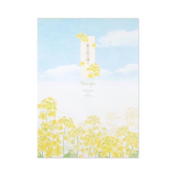 便箋　菜の花の便り｜pd-641