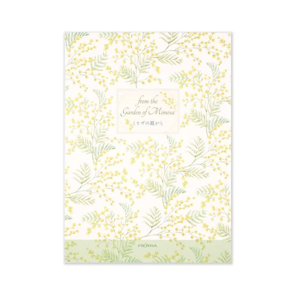 便箋　ミモザの庭から｜pd-670
