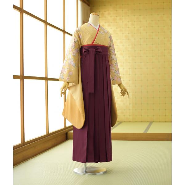 袴 レンタル 先生 教員 卒業式袴 女性  着物 都こがね桜  袴 えび茶 レディース 身長 151...