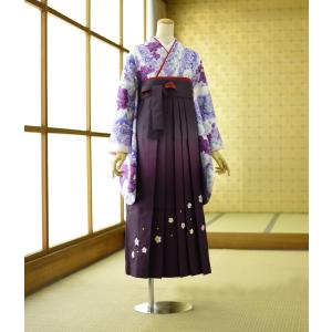 卒業式 レンタル袴 女子 着物 薄グリーン紫蝶にばら 袴 t・f 紫