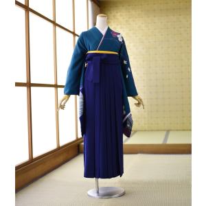 夏用絽訪問着 紫道長取りに辻が花 身長 154cm〜166cm位 レンタル 訪問