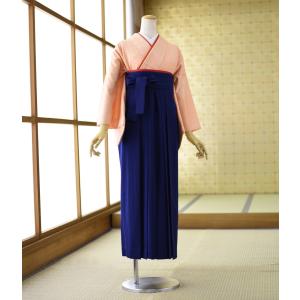 夏用絽訪問着 紫道長取りに辻が花 身長 154cm〜166cm位 レンタル 訪問