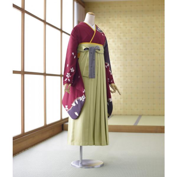 卒業式 袴 レンタル 着物 えんじ花ふぶき  袴 萌黄紐裏黒/白ねじり梅 91cm 身長 153cm...