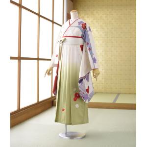 卒業式 女袴 レンタル  着物 白地染分け市松桜  袴
