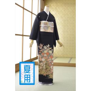 留袖とモーニング同時注文で10%OFF 留袖 レンタル 単衣 夏用 ブルー