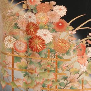 留袖とモーニング同時注文で10%OFF 留袖 ...の詳細画像3