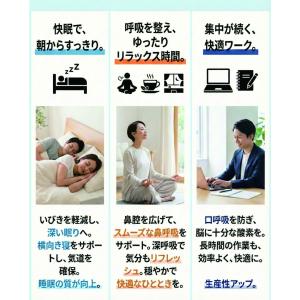 シン・ノーズケア 鼻孔拡張テープ レギュラー ...の詳細画像2