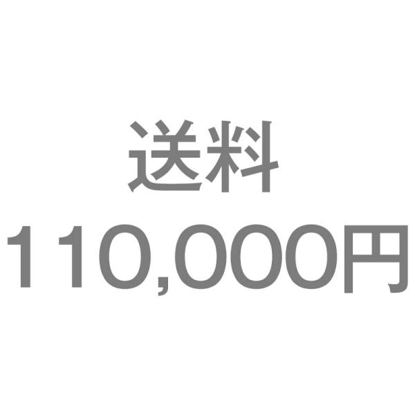 送料110,000円