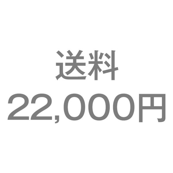 送料22,000円
