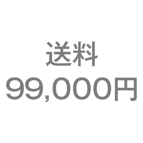 送料99,000円
