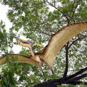 巨大プテラノドン FRP恐竜オブジェ