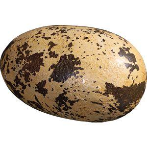 恐竜（Theropod）のタマゴ・小 FRP恐竜オブジェ 即納可