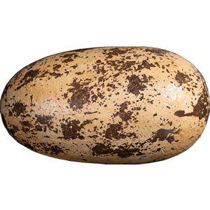 恐竜（Theropod）のタマゴ・大 FRP恐竜オブジェ 即納可