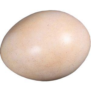 恐竜（Sauropod）のタマゴ・小 FRP恐竜オブジェ 即納可