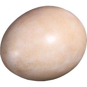 恐竜（Sauropod）のタマゴ・大 FRP恐竜オブジェ