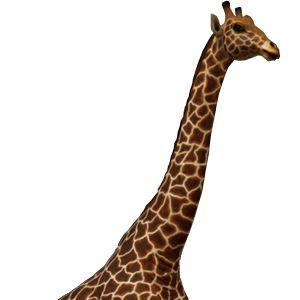 巨大なキリン FRPアニマルオブジェ