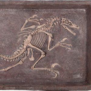 ヴェロキラプトルの化石 発掘体験砂場 FRP恐竜オブジェ 即納可