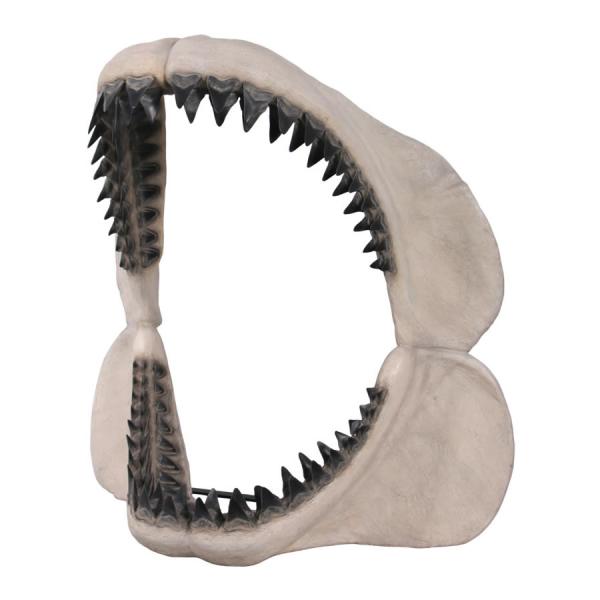 メガロドンジョーズの歯の化石 FRP恐竜オブジェ