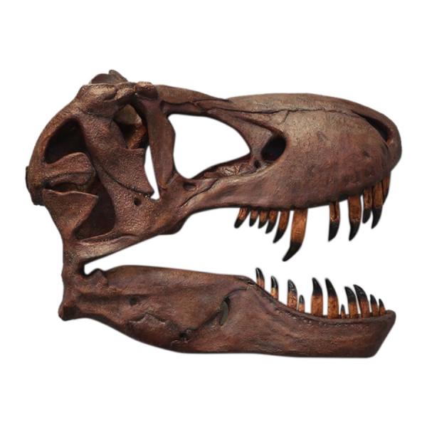 壁掛けティレックス頭骨 FRP恐竜オブジェ