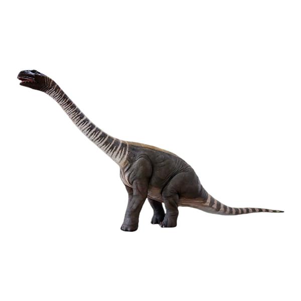 首を伸ばすロエトサウルス恐竜 FRP恐竜オブジェ