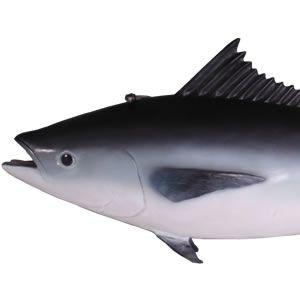 本マグロ FRPアニマルオブジェ 即納可